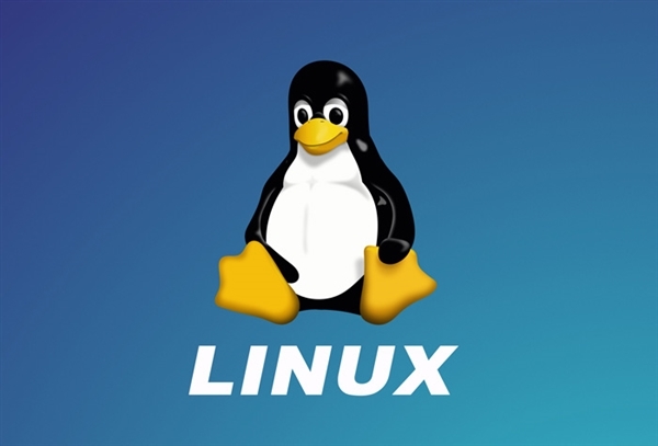 Windows更新导致Linux系统无法启动！微软发布完整解决方案